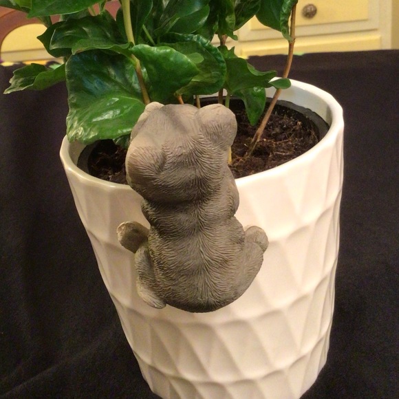 Gray Kitten Pot Hugger. So cute on plants, tanks & aquariums! You’ll love it! - Picture 3 of 13